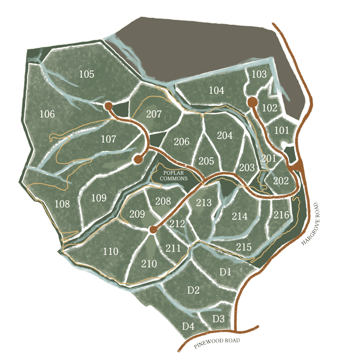 Custom illustrated site map design for The Arbors luxury real estate layout displaying numbered lots.