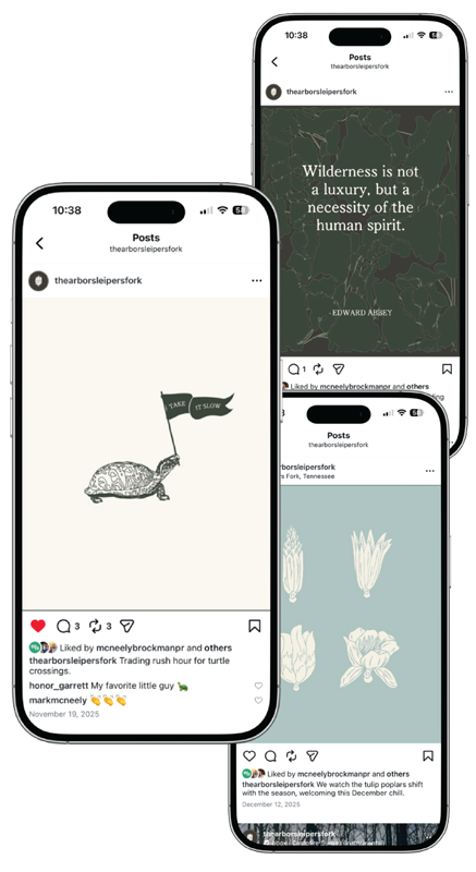 Social media brand presentation mockup on three smartphone screens for The Arbors digital identity.