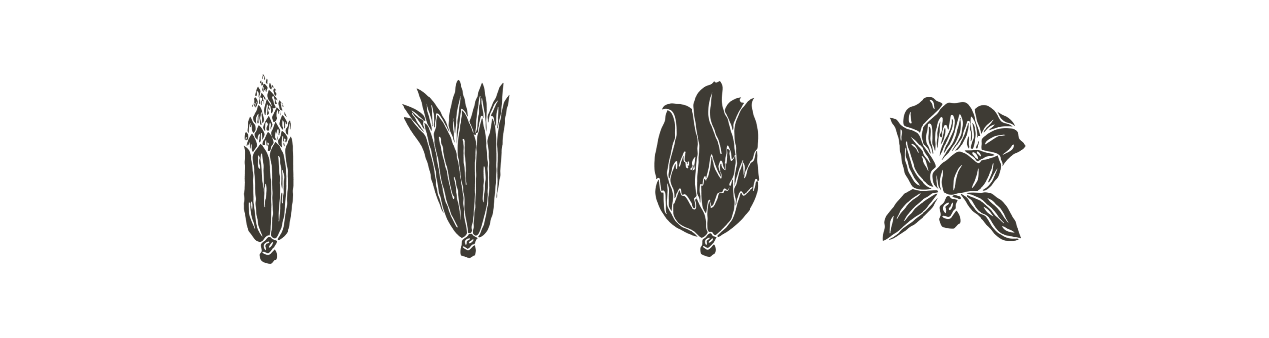 Progressive design panel displaying four tulip poplar growth stages representing phases of The Arbors development.