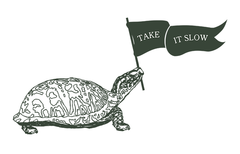 Custom brand graphic illustration of a turtle holding a "take it slow" text pennant.
