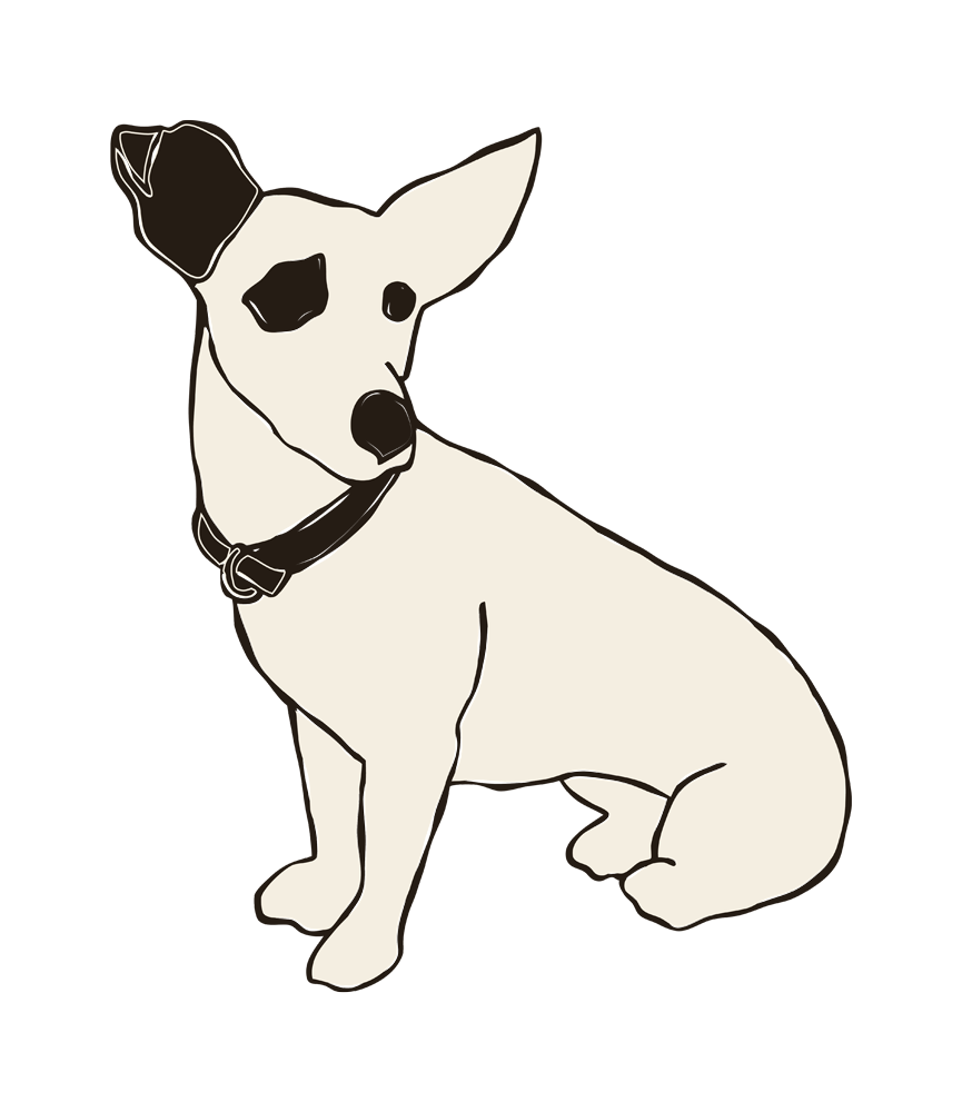 Custom digital illustration of a dog as part of the branding portfolio for O'Sullivans Courthhouse Travel Tours.