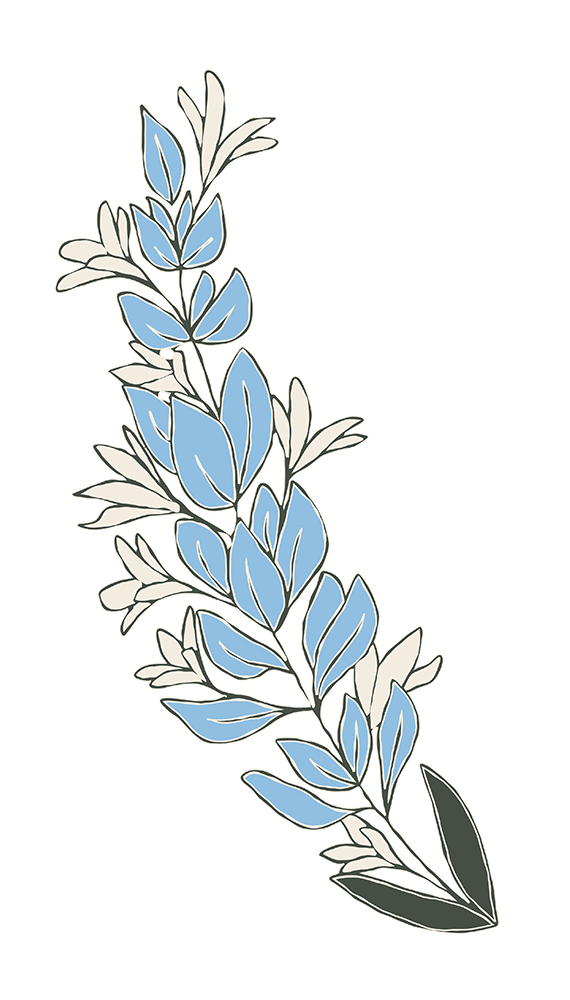 Custom digital illustration of a Texas Bluebonnet flower as part of the branding portfolio for O'Sullivans Courthhouse Travel Tours.